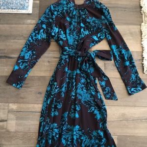 Silky long sleeved maxi dress